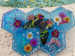 Garden Flutter Honeycomb Organizer