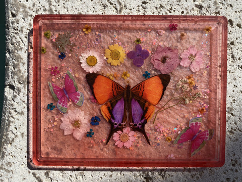 Butterfly Dreams Rectangle Tray